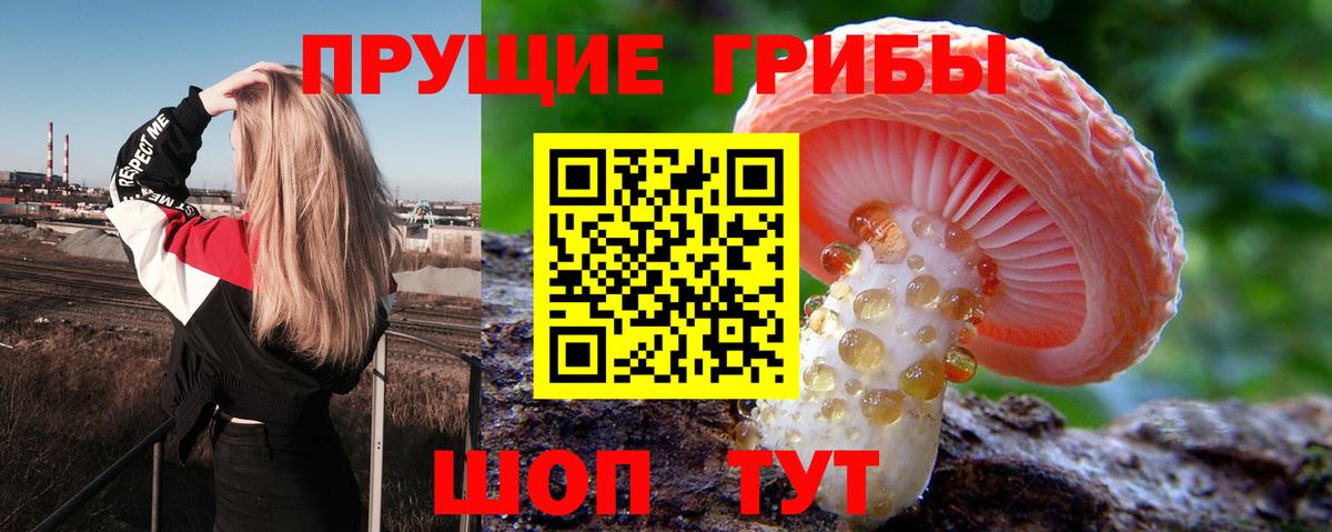 Галлюциногенные грибы GOLDEN TEACHER Губаха