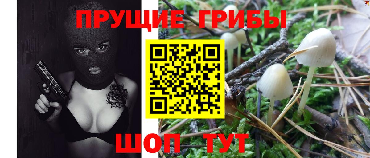 Галлюциногенные грибы Magic Shrooms  Псилоцибиновые грибы Psilocybe  Вход с VPN  Губаха 
