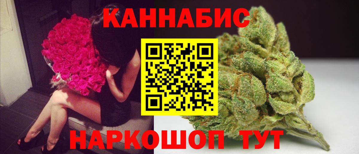 Канабис конопля Губаха