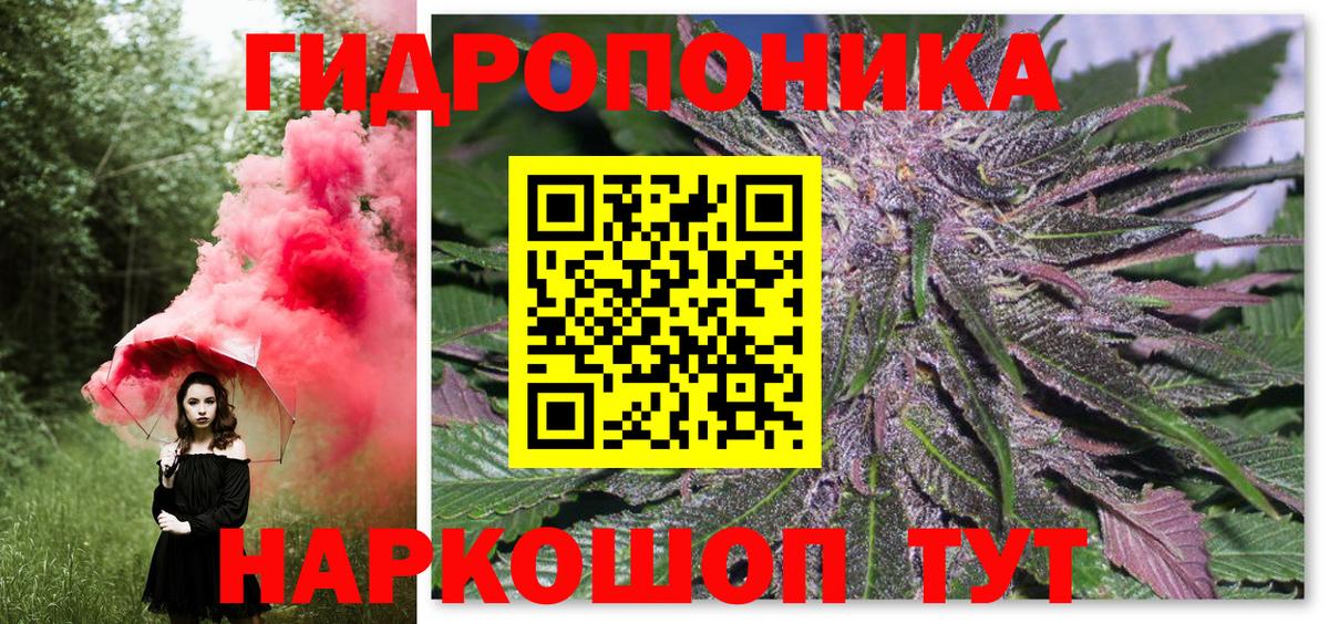 Каннабис Bruce Banner  Вход с VPN  Конопля план  Губаха  Канабис Amnesia 